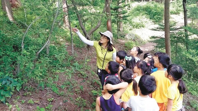 올해 26만명 화순 ‘치유의 숲’ 찾아 힐링 전남 화순군 ‘만연산 치유의 숲’에서 어린이들이 산림치유 프로그램에 참여해 산림 환경에 대해 배우고 있다. 이 프로그램은 직장인, 노년층에서도 인기다. 화순군 제공