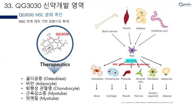 큐제네틱스는 줄기세포 분화와 촉진 기술을 응용, 비만과 퇴행성관절염 등 여러 질병의 치료제를 만들 예정이다. 출처 = 큐제네틱스