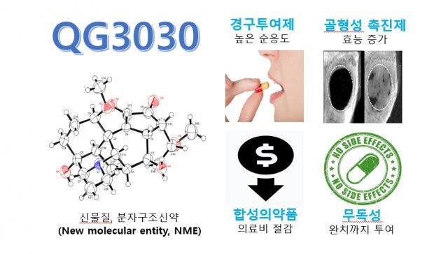 큐제네틱스 QG3030의 장점. 기존 골다공증 치료제보다 가격이 저렴하고 효능이 우수하며 무독성으로 부작용이 없다. 출처 = 큐제네틱스