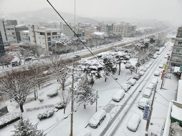 23일 오전 대설특보가 발효된 광주·전남 지역에 전날 밤부터 내린 폭설로 도심 일대가 하얀 눈에 뒤덮혀 있다.2022.12.23/뉴스1