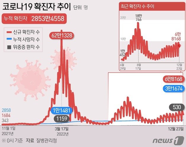 코로나19 확진자 추이 ⓒ News1