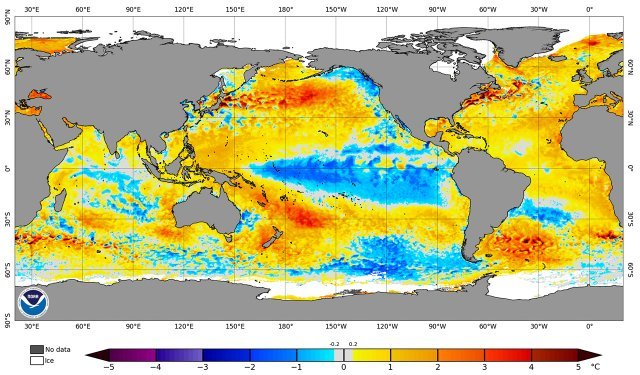 전세계 해수면이 평년 대비 얼마나 뜨거운지를 보여주는 지도. 지독한 한파가 불어닥쳤는데도 아직 서해와 동해 북부쪽 바닷물의 기온이 높은 것을 볼 수 있습니다. NOAA