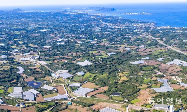 제2공항 건설 예정지가 있는 제주 서귀포시 성산읍 일대. 사진=동아일보DB