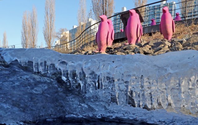 한파가 지속된 3일 서울 용산구 이촌 한강공원 강변에 얼음이 얼어있다. 뉴시스