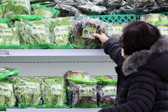 서울의 한 대형마트에서 시민들이 야채와 채소 등 농산물을 살펴보고 있다. 2022.12.22 뉴스1