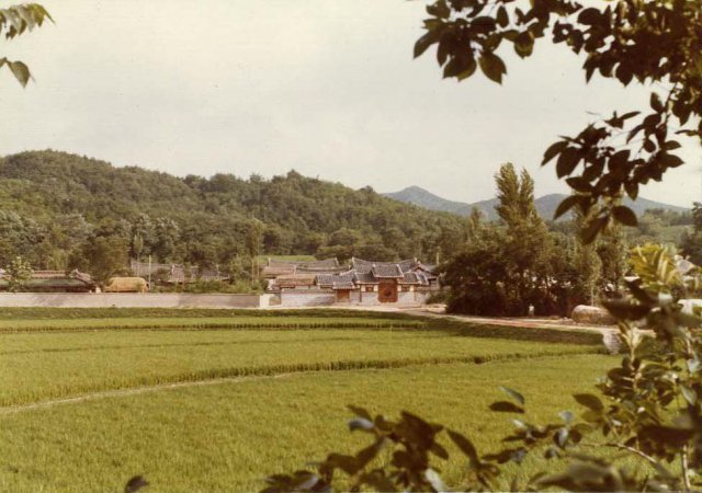 남쪽의 산 자락 아래에 자리잡은 인촌 김성수 생가는 배산임수의 원리에 맞추기 위해 북향집을 하고 있다.