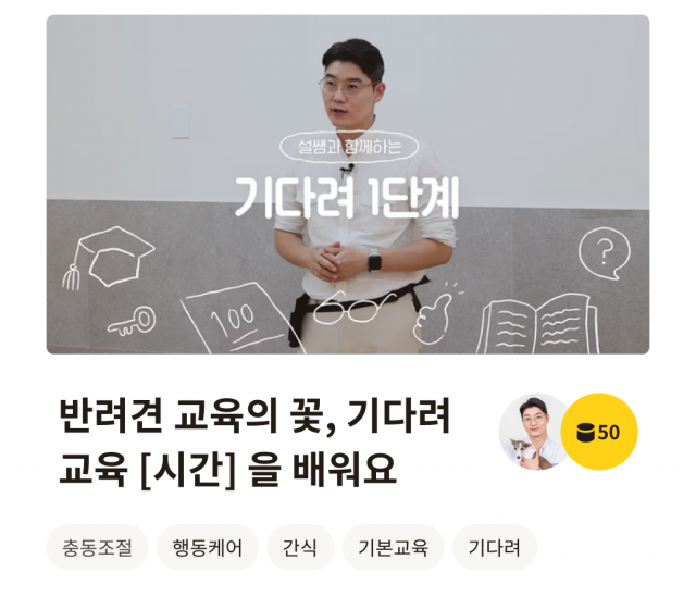 놀로 앱에서 제공하는 반려생활퀴즈_출처 : 스파크펫