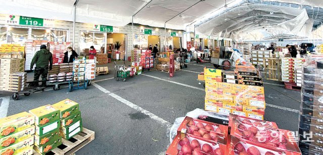 9일 대구 북구 매천동 농수산물도매시장 주차장에 마련된 임시 점포에서 상인들이 과일을 판매하고 있다. 명민준 기자 mmj86@donga.com