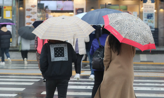제주시 이도2동의 한 횡단보도에서 우산을 쓴 시민들이 발걸음을 옮기고 있다.ⓒ News1