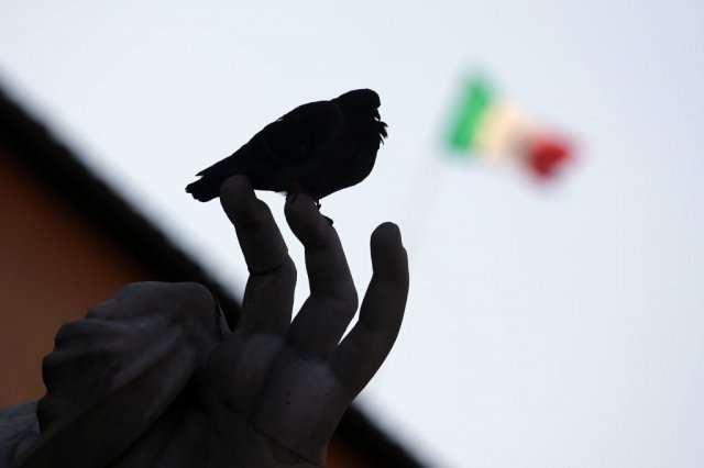 비둘기는 이탈리아의 보호종으로 법에 의해 보존되고 있다. ⓒGettyImages