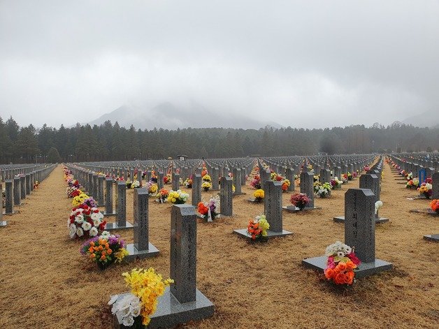 14일 대전 유성구에 있는 국립대전현충원 묘역의 모습 /뉴스1 ⓒ News1 허진실기자