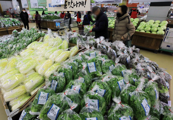 서울의 한 대형마트 채소매대에서 시민들이 농산물을 고르고 있다. 2023.1.4 뉴스1