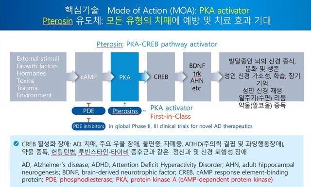프테로신 유도체가 알츠하이머를 비롯한 뇌질환을 치료하는 원리. 출처 = 지에이치팜