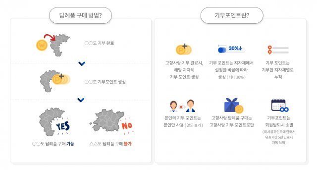 고향사랑 e음 답례품 구매 방법과 기부 포인트 안내. 출처=IT동아