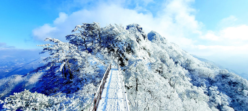 충북 제천에 있는 월악산(해발 1097m)은 소백산을 지나 속리산으로 연결되는 백두대간의 중심부에 자리잡고 있다. 충주호의 비경을
 바라보면서 오를 수 있는 월악산 영봉 등산길은 거대한 암봉이 이어지는 험준한 산세이지만 겨울 산행의 백미인 눈꽃과 상고대를 볼 수
 있다.  임혁성 씨 제공