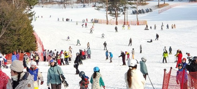 설날인 22일 강원 원주 오크밸리 스키장에는 겨울 스포츠를 즐기려는 스키어와 스노보더들의 발길이 이어졌다. 2023.1.22 뉴스1