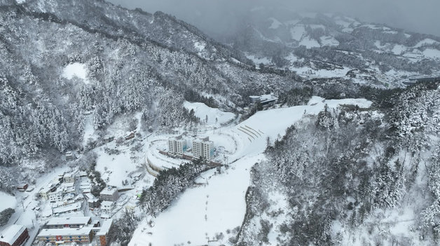 25일 오후 대설경보가 해제된 경북 울릉군 울릉도 일대에 눈이 쌓여 있다. 기상청에 따르면 24일부터 내린 울릉군 누적 적설량은 75cm이다.(울릉군제공)2023.1.25/뉴스1