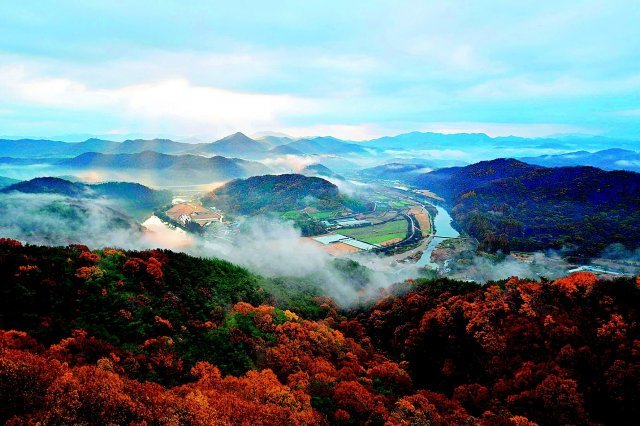 대전 서구 노루벌이 숲과 강, 들판이 어우러진 명품 국가정원으로 지정받기 위해 다양한 테마의 공원으로 꾸며진다. 계족산 산림욕장은 자연휴양림으로 확대된다. 대전시 제공