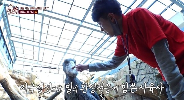 SBS ‘동물농장’ 방송 화면 갈무리