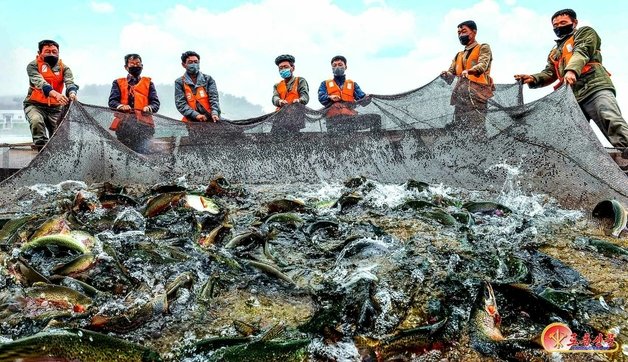 지난해 10월 북한 어랑양어사업소에서 물고기잡이가 한창인 모습. (평양 노동신문=뉴스1)