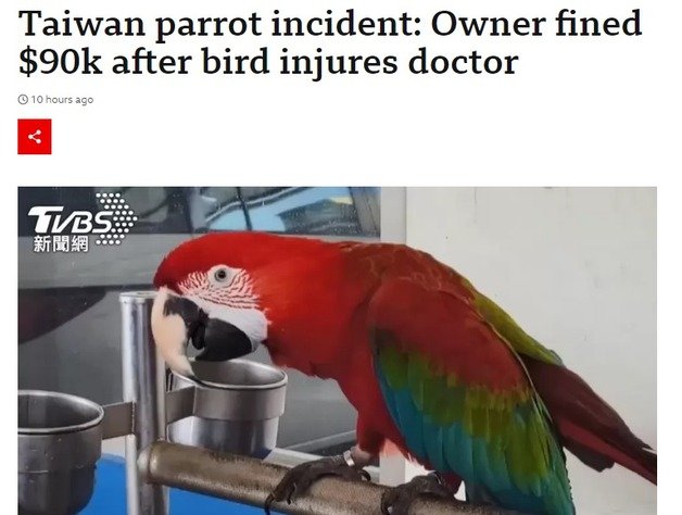 해당 기사 - BBC 갈무리