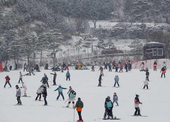스키와 보드를 타며 겨울을 만끽하는 시민들. ⓒ News1