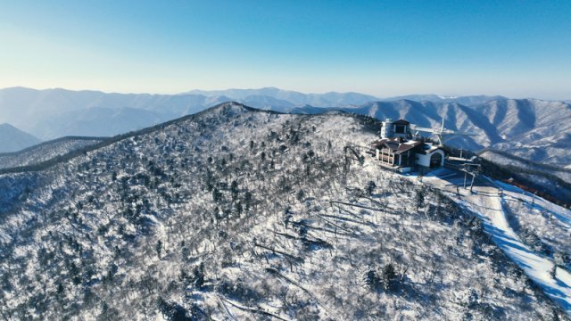 발왕산 케이블카가  도착하는 드래곤캐슬 밑 지그재그 모양 데크길이 천년주목숲길이다. 발왕산모나파크 제공