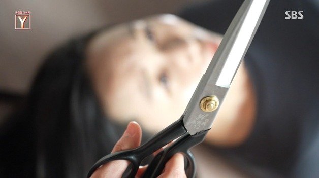 (SBS ‘궁금한 이야기 Y’ 갈무리)