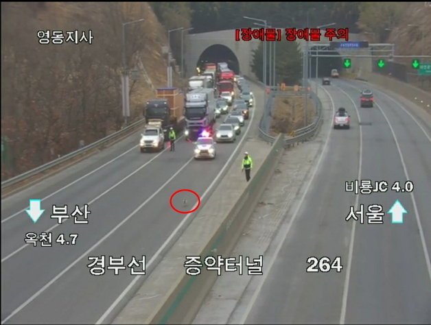 9일 오후 5시 5분경 유기견 한 마리가 경부고속도로에 출몰해 경찰과 한국도로공사 관계자가 구출하고 있는 모습. 한국도로공사 대전충남본부 제공