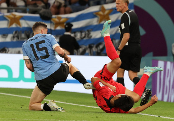 24일 오후(현지시간) 카타르 알라이얀 에듀케이션 시티 스타디움에서 열린 2022 카타르 월드컵 조별리그 H조 1차전 대한민국과 우루과이의 경기에서 이강인이 발베르데의 반칙성 태클에 넘어지고 있다. 이날 경기는 득점 없이 0대 0 무승부로 마쳤다. 2022.11.25/뉴스1