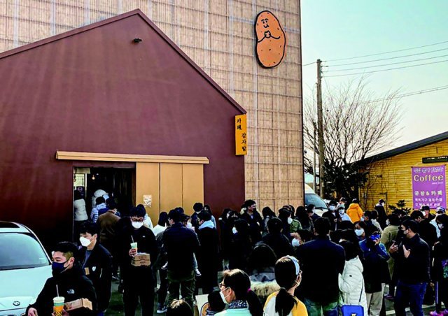 강원 춘천시 신북읍 ‘카페 감자밭’ 앞에 감자빵을 사려는 사람들이 길게 줄을 서 있다. 밭 제공