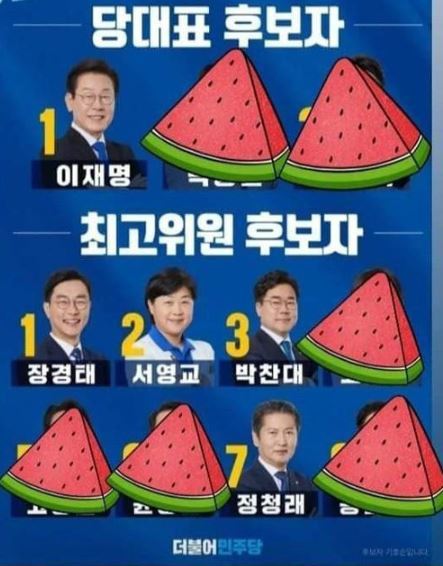 이재명 의원을 지지하는 일부 지지층이 “최고위원 선거도 친명계를 찍어야 한다”며 SNS에서 공유했던 사진. SNS 캡처