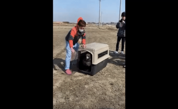 농약 중독으로 쓰러져 있던 독수리가 치료를 받고 자연의 품으로 돌아갔다. 전북대