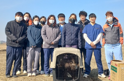 야생 독수리를 치료·간호한 전북야생동물구조관리센터 센터원들과 독수리. 전북대