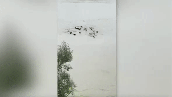 지난 12일(현지시간) 뉴질랜드 북부를 강타한 태풍 가브리엘로 물에 잠긴 소들이 주인 목소리를 따라 안전한 곳으로 헤엄치고 있다. 뉴질랜드 와이푸쿠라우 동물병원 페이스북