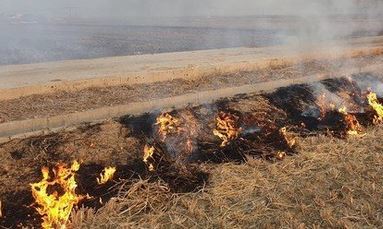 (기사와 무관한 자료사진)뉴스1