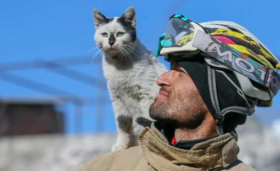 튀르키예(터키) 마르딘 소방서 소속 알리 카카스(33) 대원과 129시간 만에 구조된 튀르키예 고양이(왼쪽). 카카스 대원은 직접 구조한 고양이를 가족으로 입양했다. GettyImages
