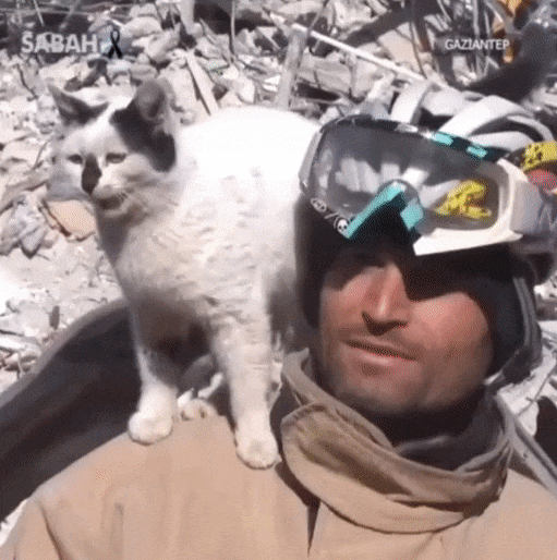 튀르키예(터키) 마르딘 소방서 소속 알리 카카스(33) 대원과 129시간 만에 구조된 튀르키예 고양이(왼쪽). 카카스 대원은 직접 구조한 고양이를 가족으로 입양했다.TRT 월드 유튜브 갈무리