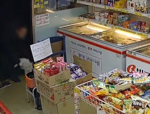 지난 10일 한 남성이 부산 한 무인 아이스크림 가게 안에 강아지를 버려두고 있다.(유튜브 라이프티비 캡처)