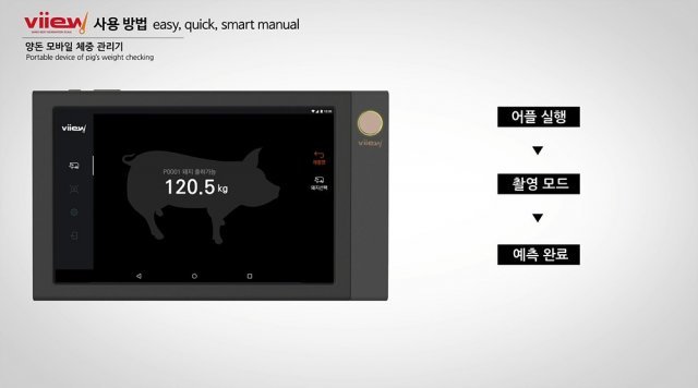 양돈 모바일 체중 관리기 뷰가 돼지의 몸무게를 측정, 결과를 보여주는 모습. 출처 = 일루베이션