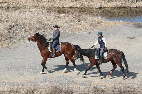 사흘간 이어진 반짝추위가 물러가고 포근한 봄날씨를 회복한 22일 오후 승마동호인들이 경북 경산시 압량읍 오목천을 따라 ‘외승(外乘·야외에서 즐기는 승마)’을 즐기고 있다. 2023.2.22/뉴스1