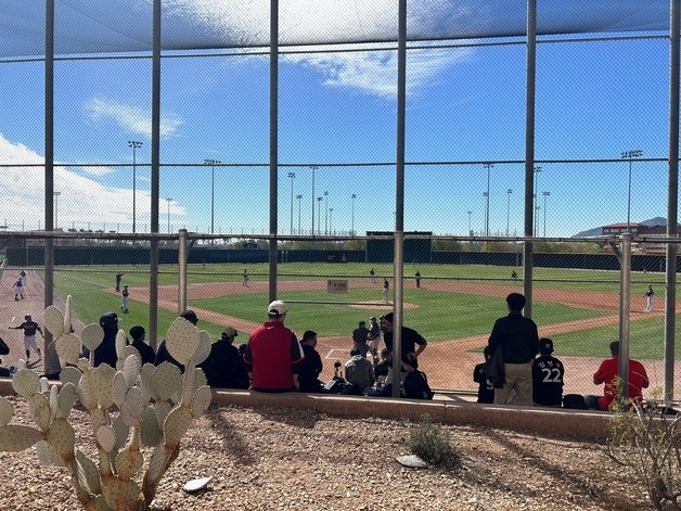 26일 미국 애리조나주 스코츠데일 솔트리버필즈 앳 토킹스틱에서 LG 트윈스가 네덜란드와 연습경기를 하는 모습.  ⓒ News1