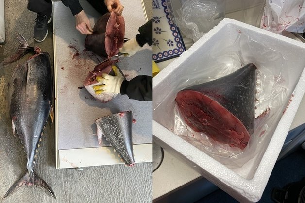 한 오피스텔 입주민 A씨가 경비원에게 받은 참치 모습. (온라인 커뮤니티 갈무리)