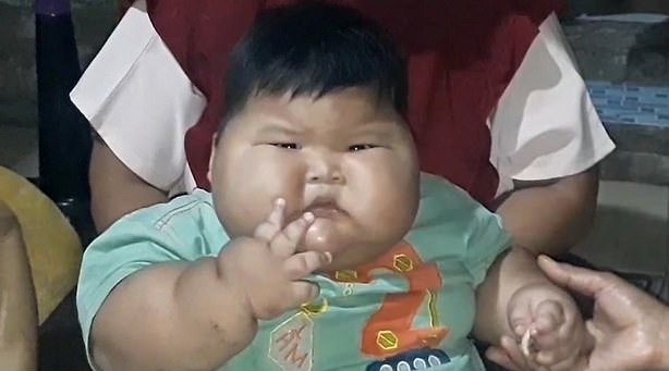 16개월 된 아기 무함마드 켄지 알파로가 거의 27㎏에 달하는 몸무게를 기록해 화제를 모았다. (인도네시아 콤파스TV)