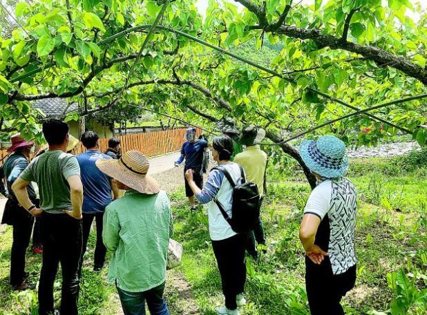 괴산군 제공