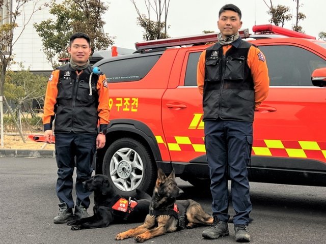 제주소방 119구조견 초롱이(가운데 왼쪽)와 강호. 제주소방