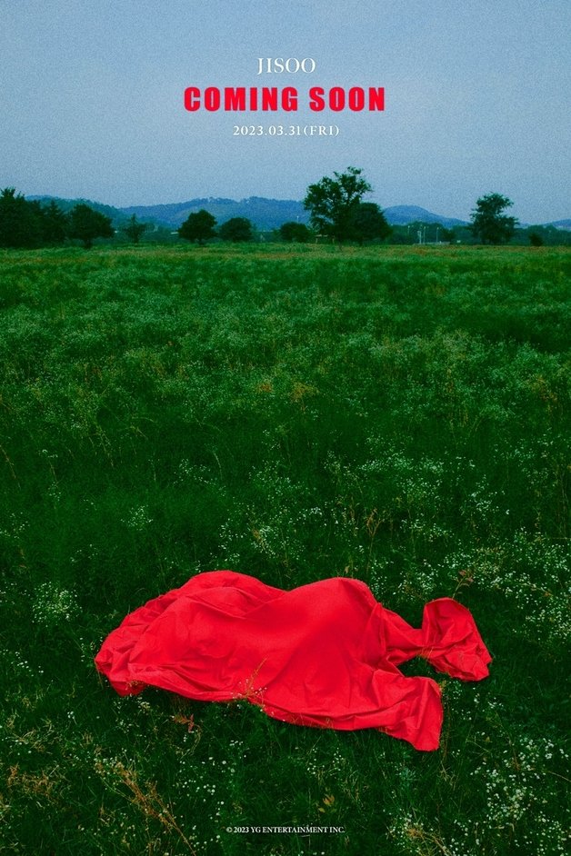 YG엔터테인먼트