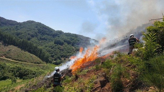 8일 오전 10시44분끔 대구 동구 백안동 한 야산에서 산불이 발생하자 산림당국이 진화 중이다.(산림청 제공)