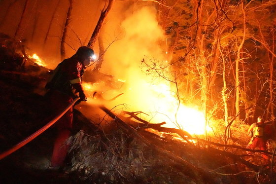 산림청 공중진화대원들이 9일 경남 합천군 용주면에서 발생한 산불을 잡기 위해 밤새 진화 작업을 하고 있다. 산림청 제공