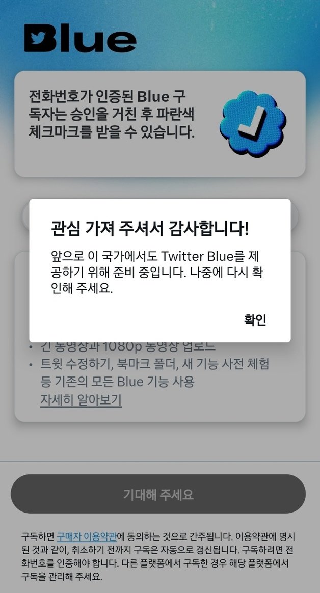 트위터 프로필 하단에 새로 생긴 ‘Twitter Blue’ 탭을 클릭하면 생기는 화면 (트위터 화면 갈무리)